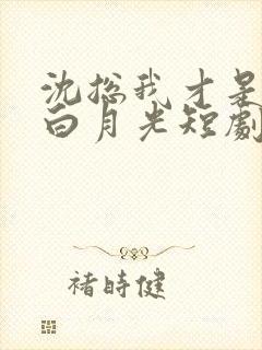 沈总我才是你的白月光短剧免费观看