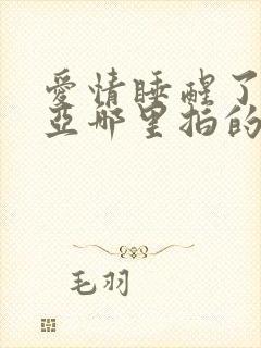 爱情睡醒了在三亚哪里拍的