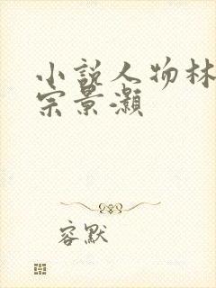 小说人物林辛言宗景灏