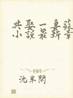 共娶一妻苏晚晴小说最新章节列表