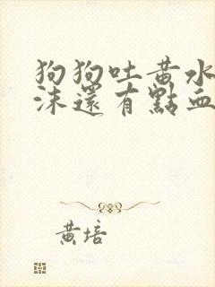 狗狗吐黄水带泡沫还有点血