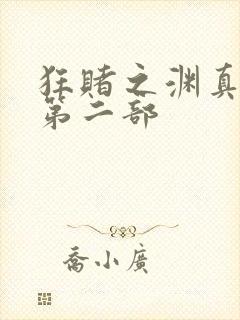 狂赌之渊真人版第二部