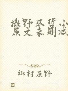 撒野巫哲小说 原文未删减