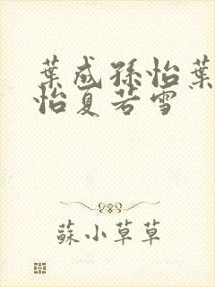 叶成孙怡叶辰孙怡夏若雪