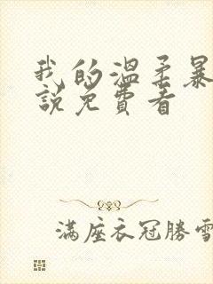 我的温柔暴君小说免费看