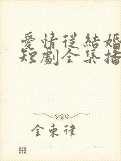 爱情从结婚开始短剧全集播放