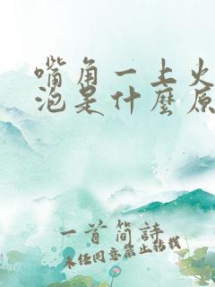 嘴角一上火就起泡是什么原因