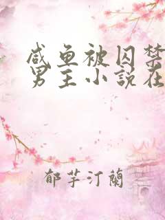 咸鱼被囚禁的双男主小说在线阅读免费