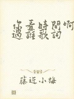 你看时间啊它等过谁歌词