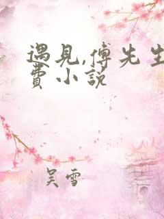 遇见,傅先生免费小说