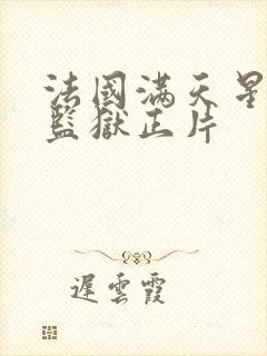 法国满天星高压监狱正片