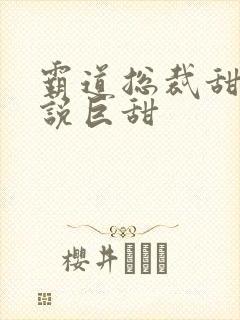 霸道总裁甜宠小说巨甜