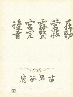 后宫露营在线观看完整版动