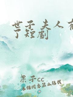 世子 夫人有喜了短剧