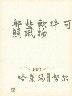 哪些软件可以拍照识物