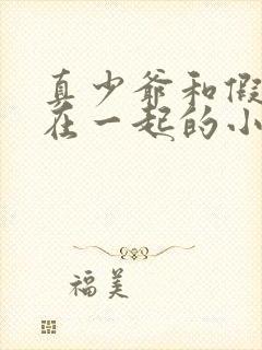 真少爷和假少爷在一起的小说