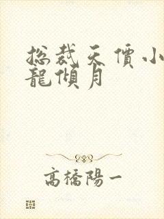 总裁天价小娇妻龙倾月