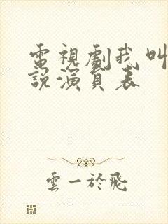 电视剧我叫刘传说演员表