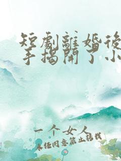 短剧离婚后我亲手揭开了小三的秘密