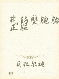 我的双胞胎老婆正版