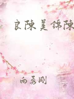 良陈美锦陈玄越