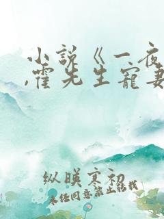 小说《一夜情深,霍先生宠妻无度》