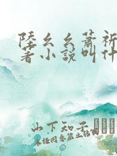 陆幺幺萧祈之原著小说叫什么