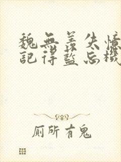 魏无羡失忆了只记得蓝忘机