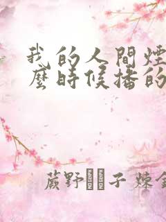 我的人间烟火什么时候播的