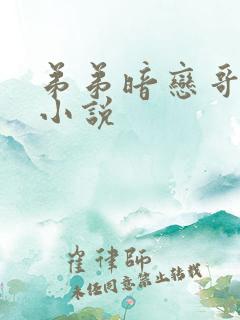 弟弟暗恋哥哥的小说