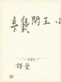 贞观闲王 小说下载