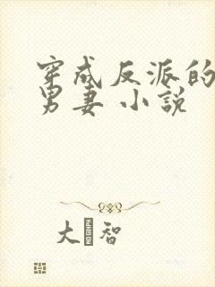 穿成反派的替身男妻 小说