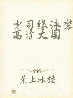 少司缘泳装图片高清大图