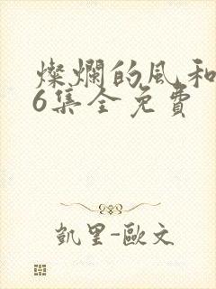 灿烂的风和海36集全免费