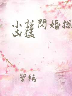 小说闪婚总裁太凶猛