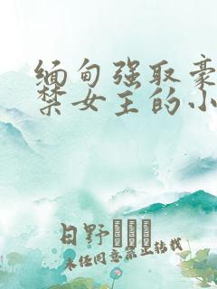 缅甸强取豪夺囚禁女主的小说