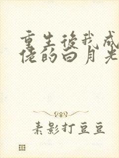 重生后我成了大佬的白月光