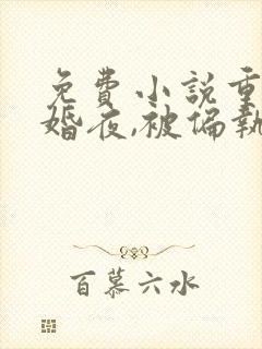 免费小说重生新婚夜,被偏执大佬亲疯了