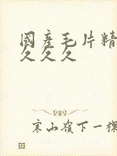 国产毛片精品久久久久