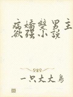 病娇双男主占有欲强小说