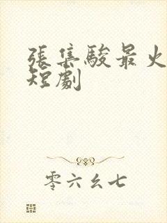 张集骏最火十部短剧