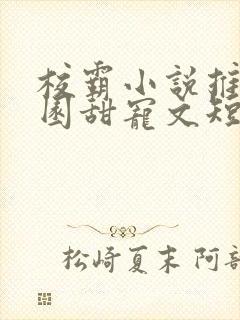 校霸小说推荐校园甜宠文短篇