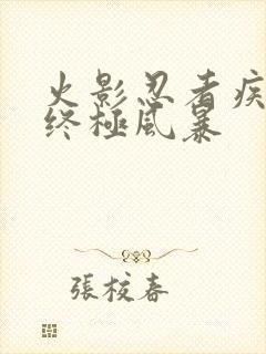 火影忍者疾风传终极风暴