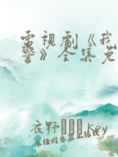 电视剧《我是刑警》全集免费观看