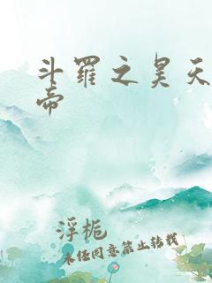 斗罗之昊天宗大帝