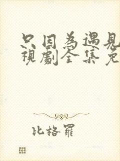 只因为遇见你电视剧全集免费观看56