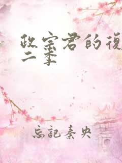 政宗君的复仇第二季