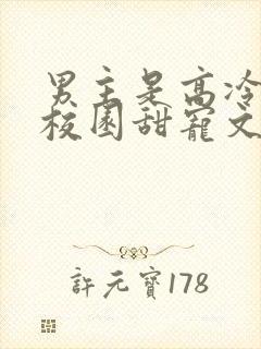 男主是高冷校草校园甜宠文