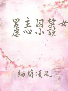 男主囚禁女主的虐心小说