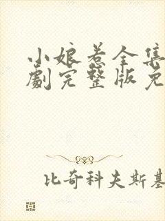 小娘惹全集电视剧完整版免费观看